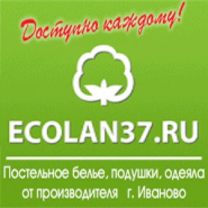 ecolan37.ru