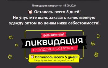 До завершения распродажи остались считанные дни! 